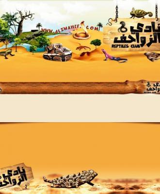 منتدى نادي الزواحف