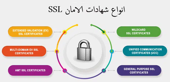 انواع شهادات الامان ssl