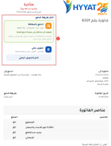 طرق الدفع في حياة هوست: مدى وفيزا والتحويل البنكي