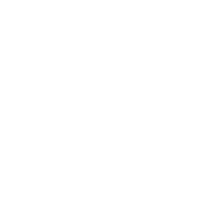 استضافة ووردبريس
