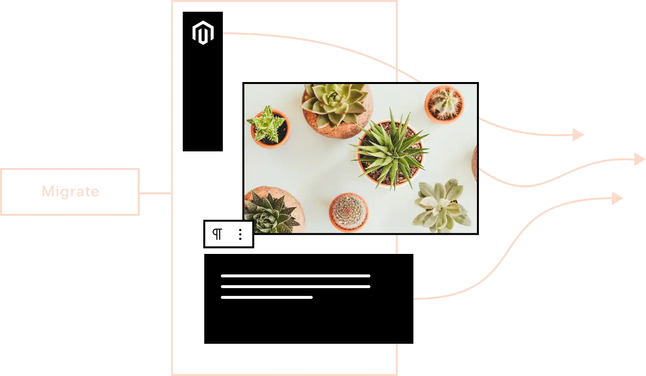 migrate magento